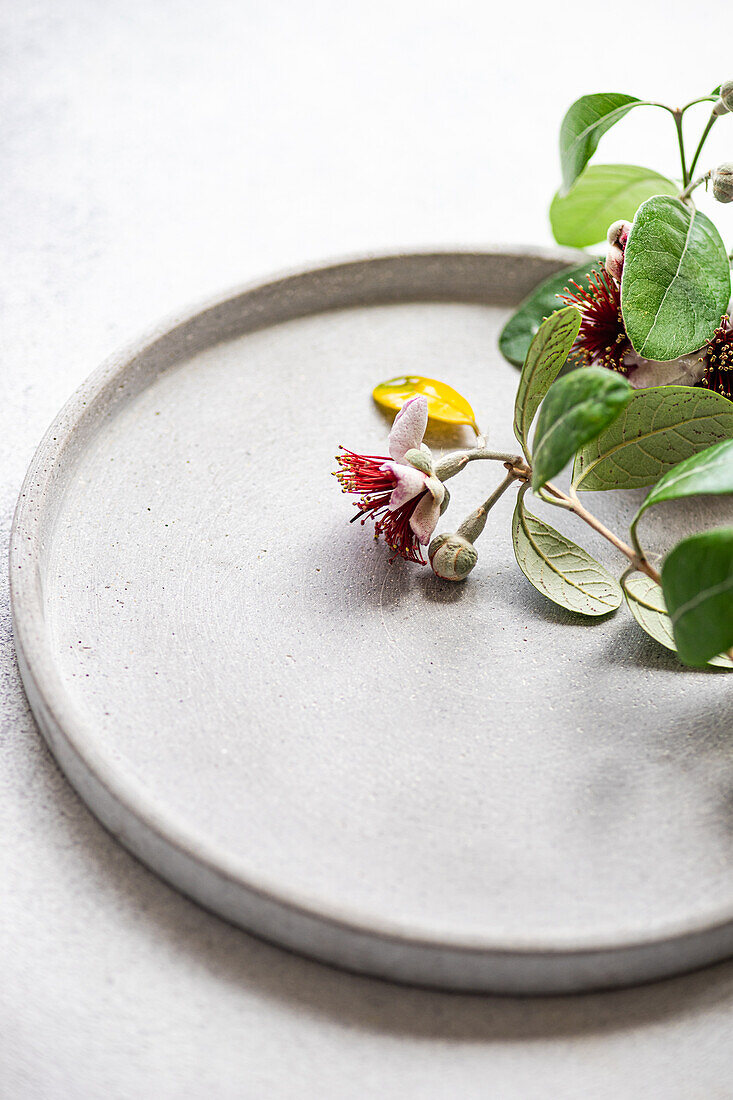 Elegante Präsentation der Feijoa-Frucht mit ihren charakteristischen Blüten und Blättern auf einem strukturierten Keramikteller, der die natürliche Schönheit dieser exotischen, in Brasilien beheimateten Frucht hervorhebt