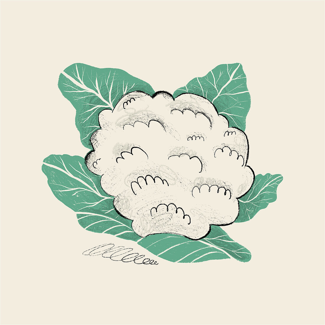 This is a charming hand-drawn illustration of a textured cauliflower surrounded by its green leaves, set against a neutral background.