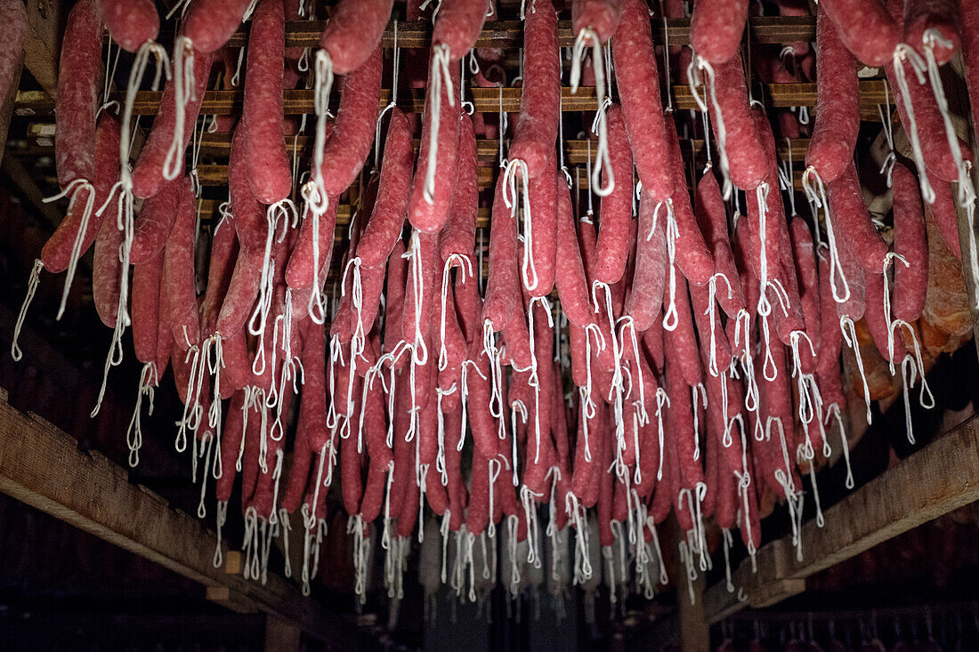 Traditional Sobrasada sausages from the Balearic Islands, known for their vibrant red color from paprika, hanging neatly on hooks in a dimly lit curing room to dry and develop flavor.