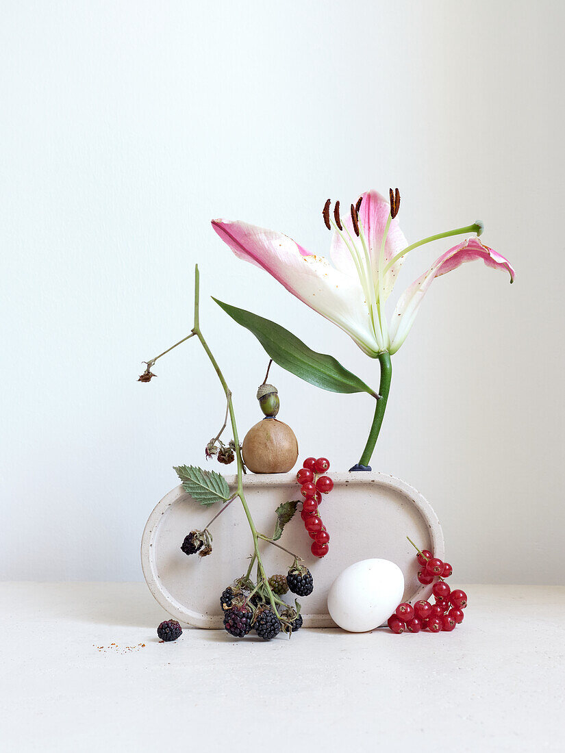 A delicate composition featuring a pink and white lily, surrounded by lush blackberries, red currants, and a lone white stone, all artistically arranged against a clean, white background