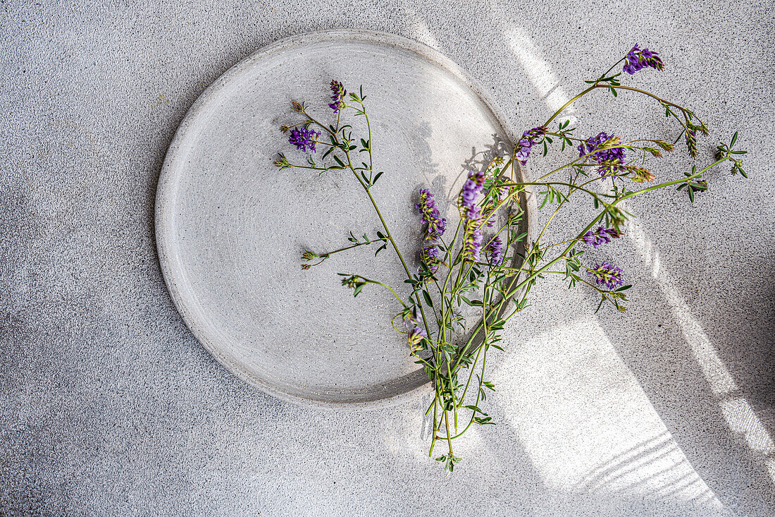 Blick von oben auf einen minimalistisch gedeckten Sommertisch mit einem Keramikteller mit zarten lila Wildblumen auf einer strukturierten Oberfläche, beleuchtet von sanftem Sonnenlicht.