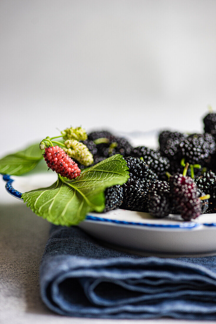 Fresh ripe and unripe mulberries displayed on a decorative plate alongside lush green leaves, set against a soft grey background. The vibrant colors of the berries range from pale green and pink to deep black.