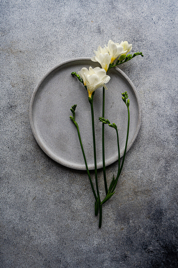 Ein minimalistisch gedeckter Tisch mit frischen Freesienblüten, die elegant auf einem strukturierten Betonhintergrund neben einem grauen Keramikteller angeordnet sind