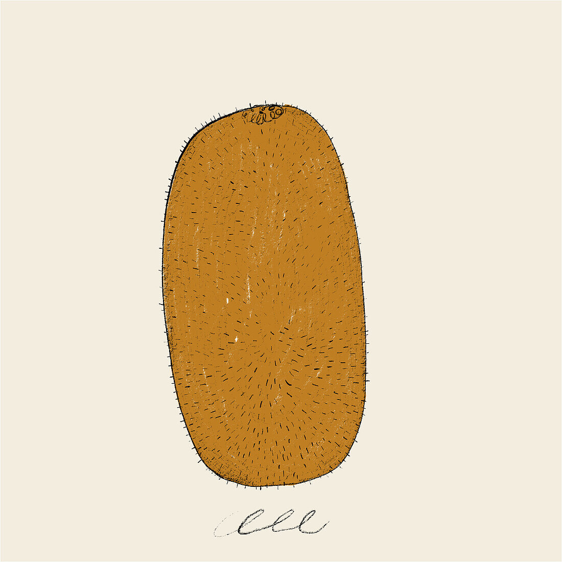 A detailed, hand-drawn illustration of a kiwi fruit with a textured brown skin and a creamy background.