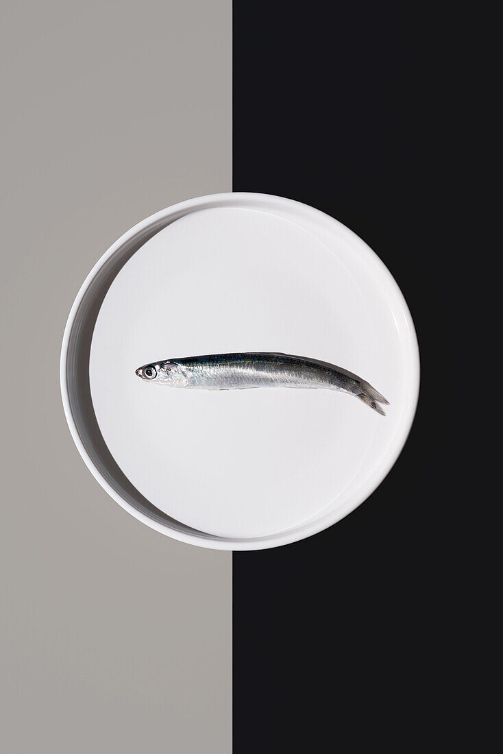 Top view of solitary fresh anchovy lies perfectly centered on a circular plate, bisected by a yin-yang contrast of black and white