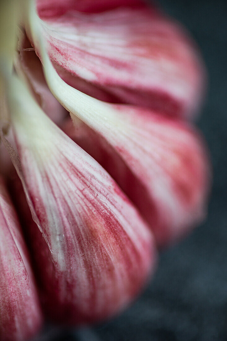 A detailed macro perspective showcases the texture and natural hues of pink and white in fresh garlic cloves, emphasizing its essential role in culinary uses