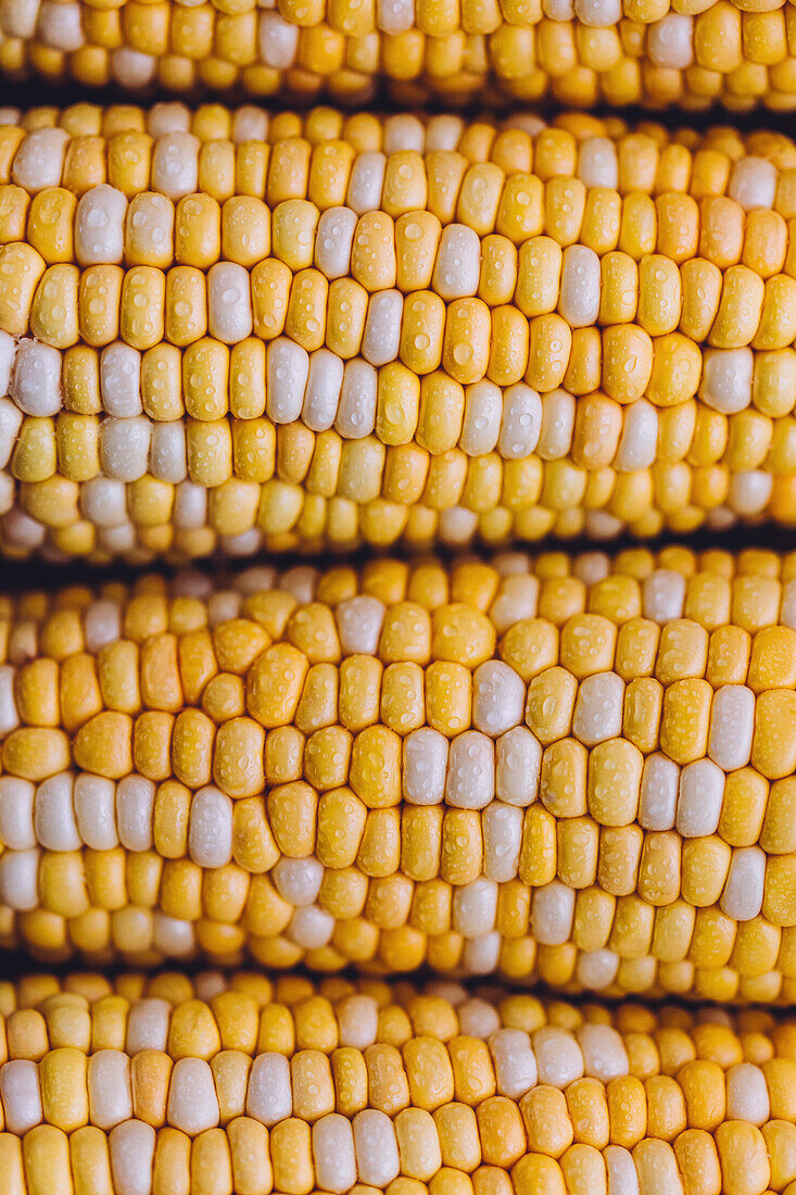 Close-up of a corn cob