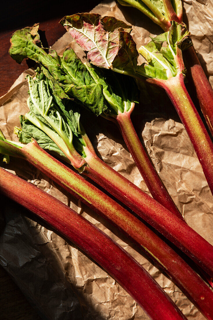 Hand-picked stalks of fresh rhubarb