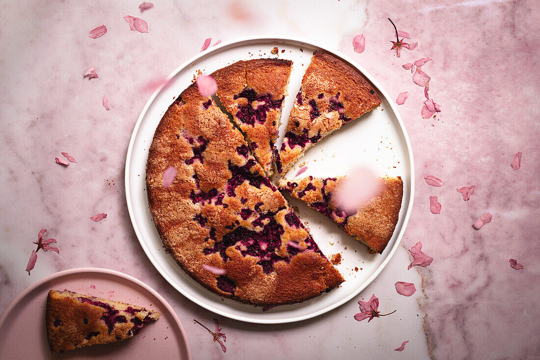 Raspberry cake with falling flower petals