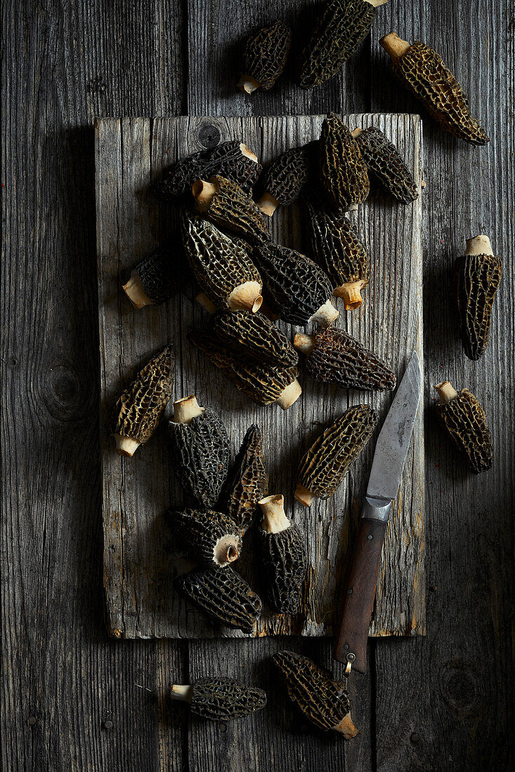 Black morels on a gray wooden background