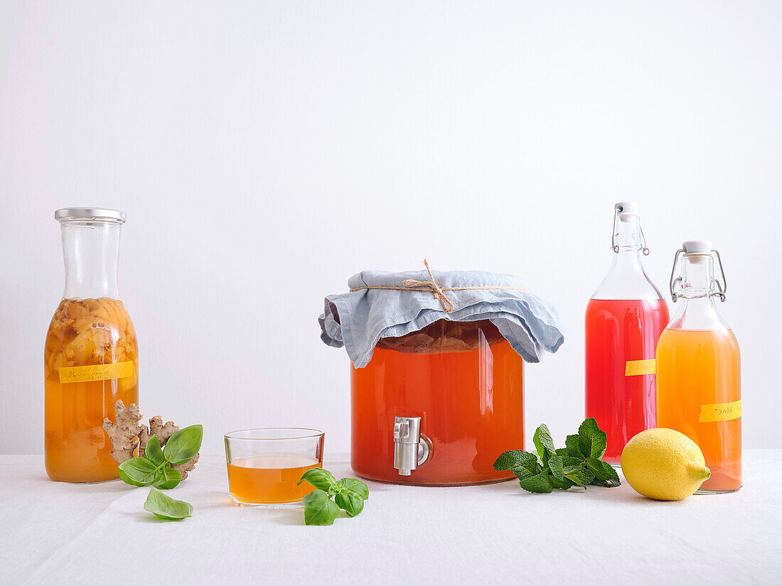 Large glass jar with kombucha scoby and various bottles of homemade fermented kombucha drink with different flavours on white background