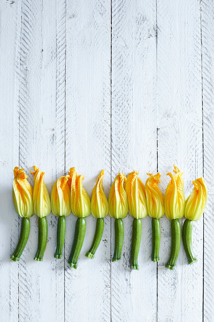 Fresh home-grown zucchini flowers on a white wooden background