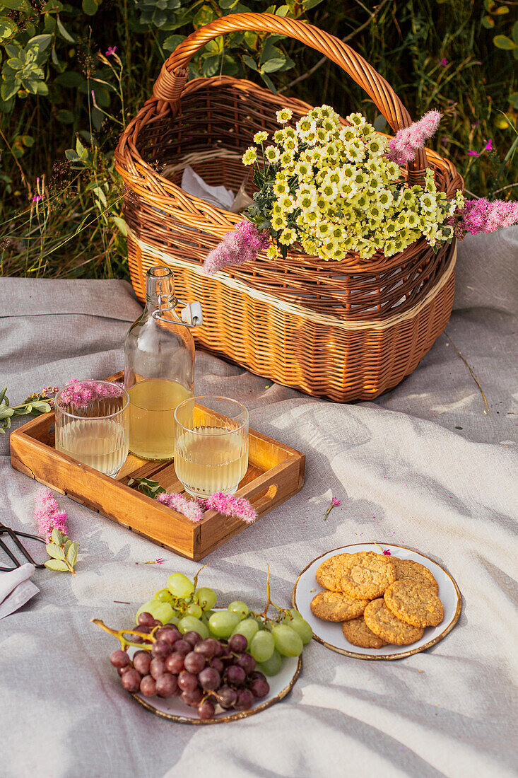 Sommerpicknick mit trübem Lemonat, Weintrauben und Keksen auf einer Decke