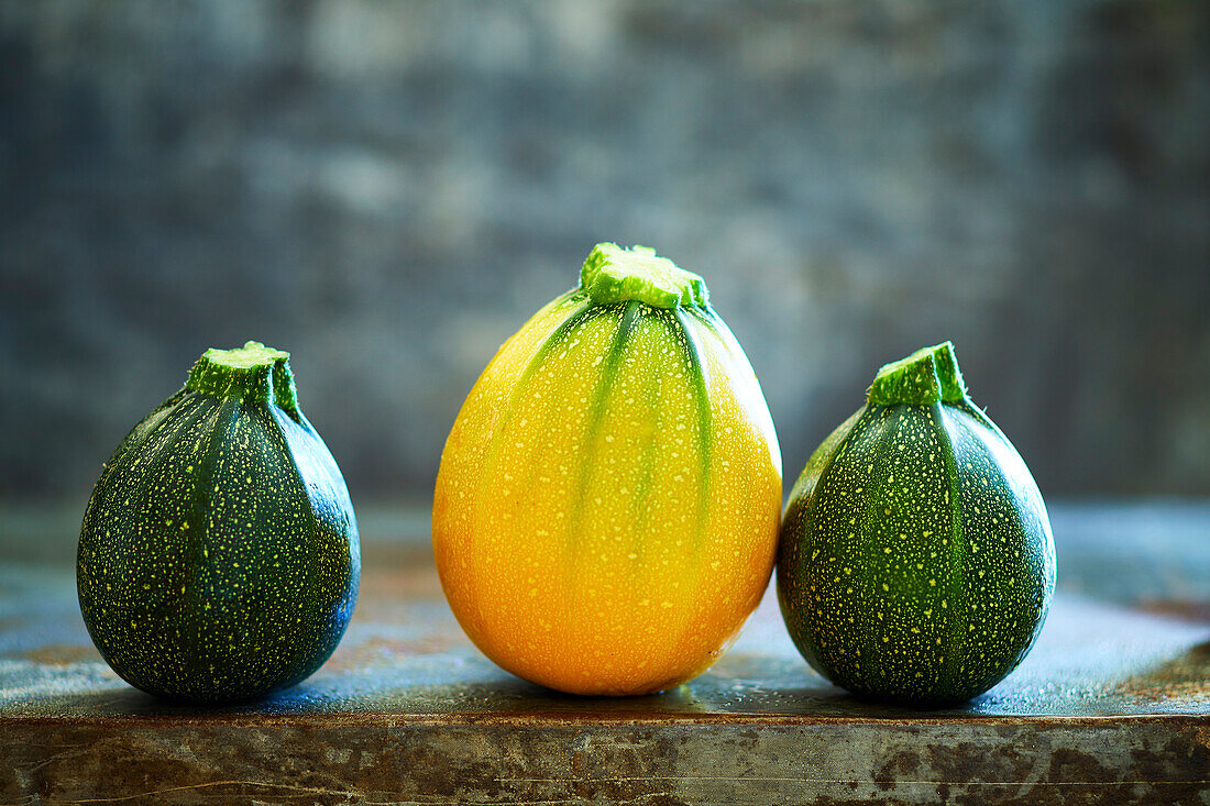 Frische runde Zucchini aus eigenem Anbau auf grauem Metallhintergrund