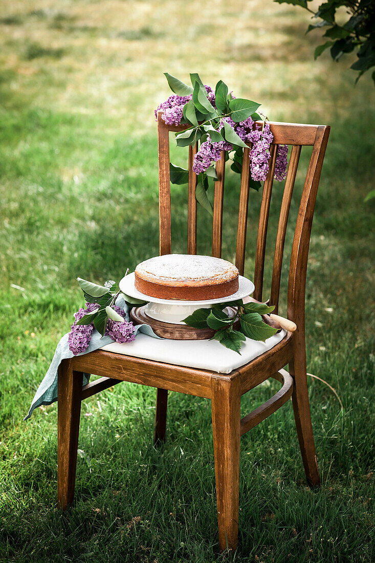 Ein gelber Kuchen auf einem rustikalen Stuhl in einem Garten im Sommer