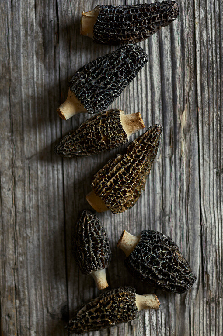 Close-up of black morels on a grey wooden background