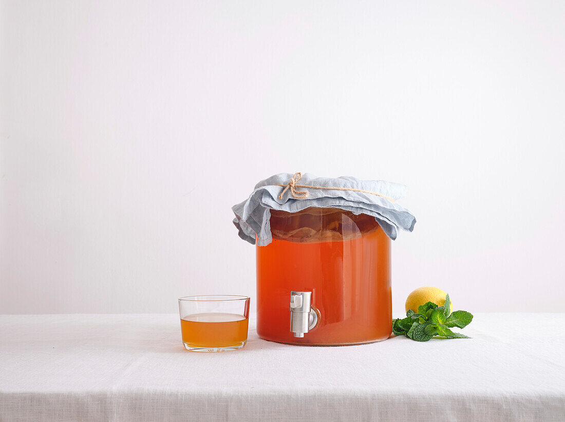 Großes Glasgefäß mit fermentiertem Tee Kombucha auf weißem Hintergrund. Erste Fermentierung des hausgemachten Bio-Getränks