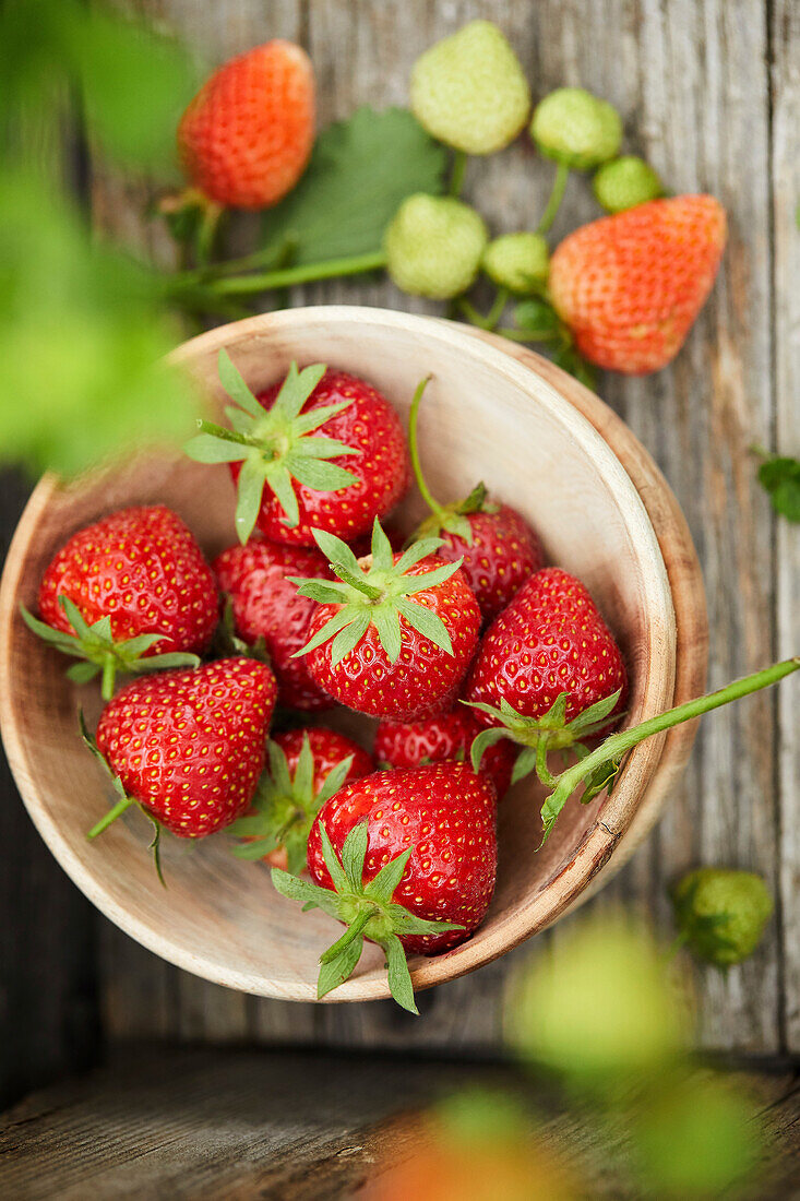 Frisch gepflückte Erdbeeren in einer Holzschale, die in einer Holzkiste steht