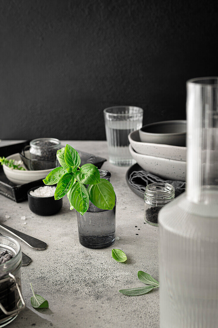 Still life with herbs and grey props