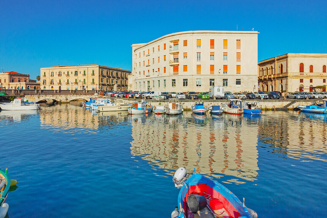 Ortygia marina, Ortygia, Syracuse, Sicily, Italy, Mediterranean, Europe