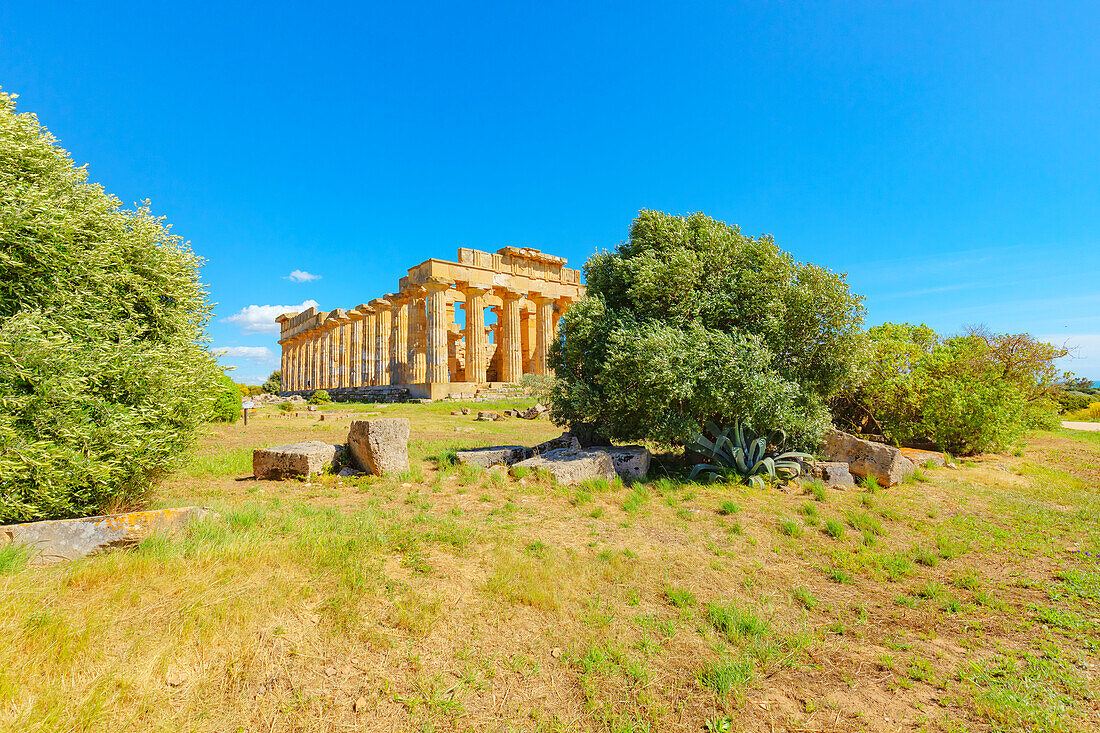 Temple of Hera (Temple E), Selinunte Archaeological Park, Selinunte, Trapani district, Sicily, Italy, Mediterranean, Europe