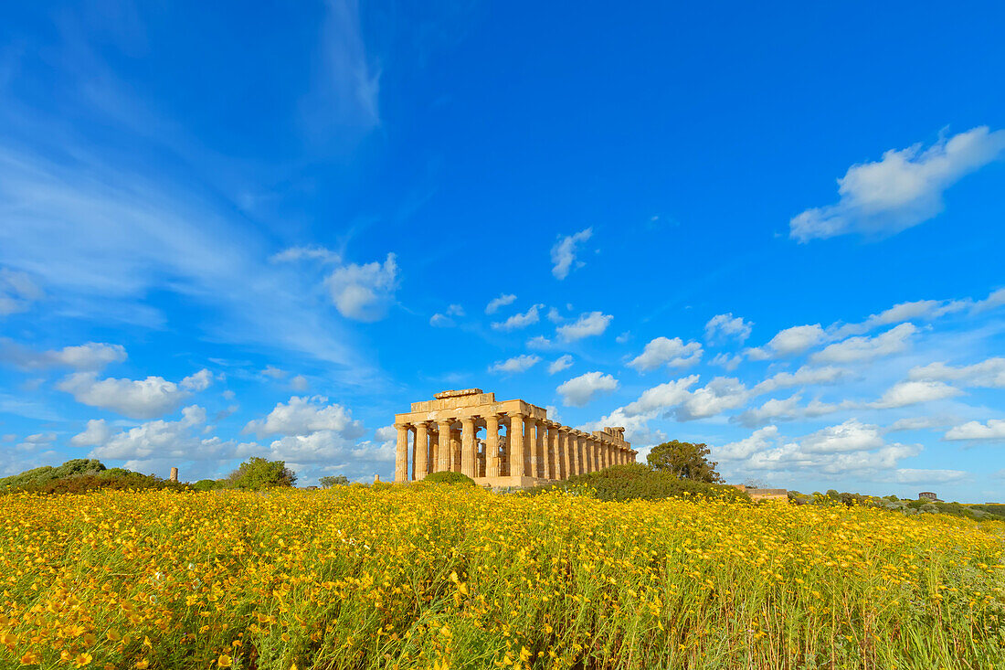 Tempel der Hera (Tempel E), Archäologischer Park von Selinunte, Selinunte, Bezirk Trapani, Sizilien, Italien, Mittelmeerraum, Europa