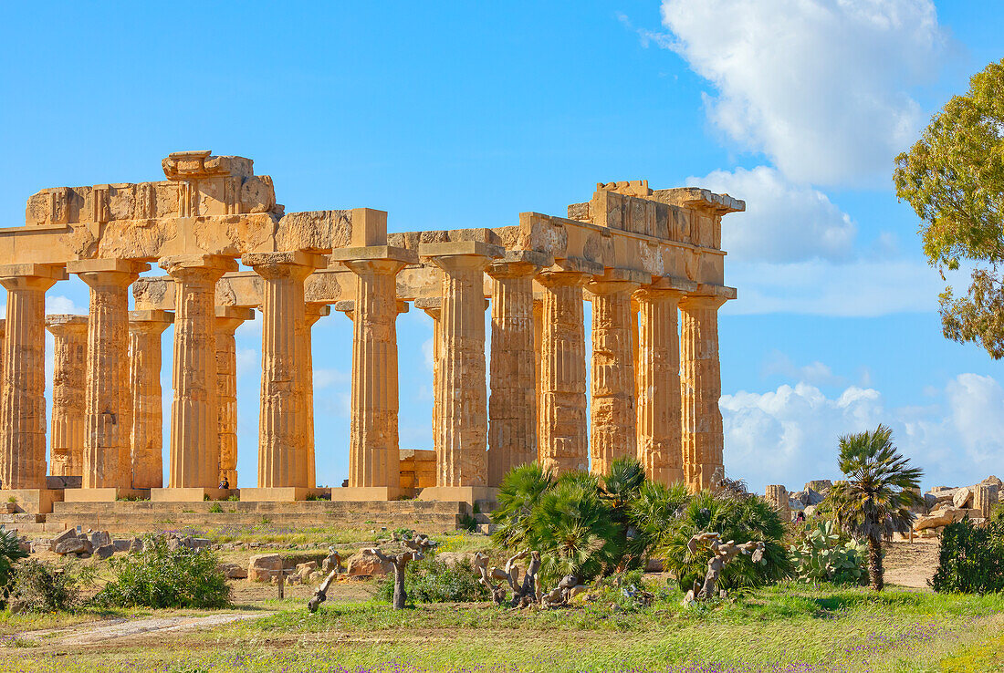 Temple of Hera (Temple E), Selinunte Archaeological Park, Selinunte, Trapani district, Sicily, Italy, Mediterranean, Europe