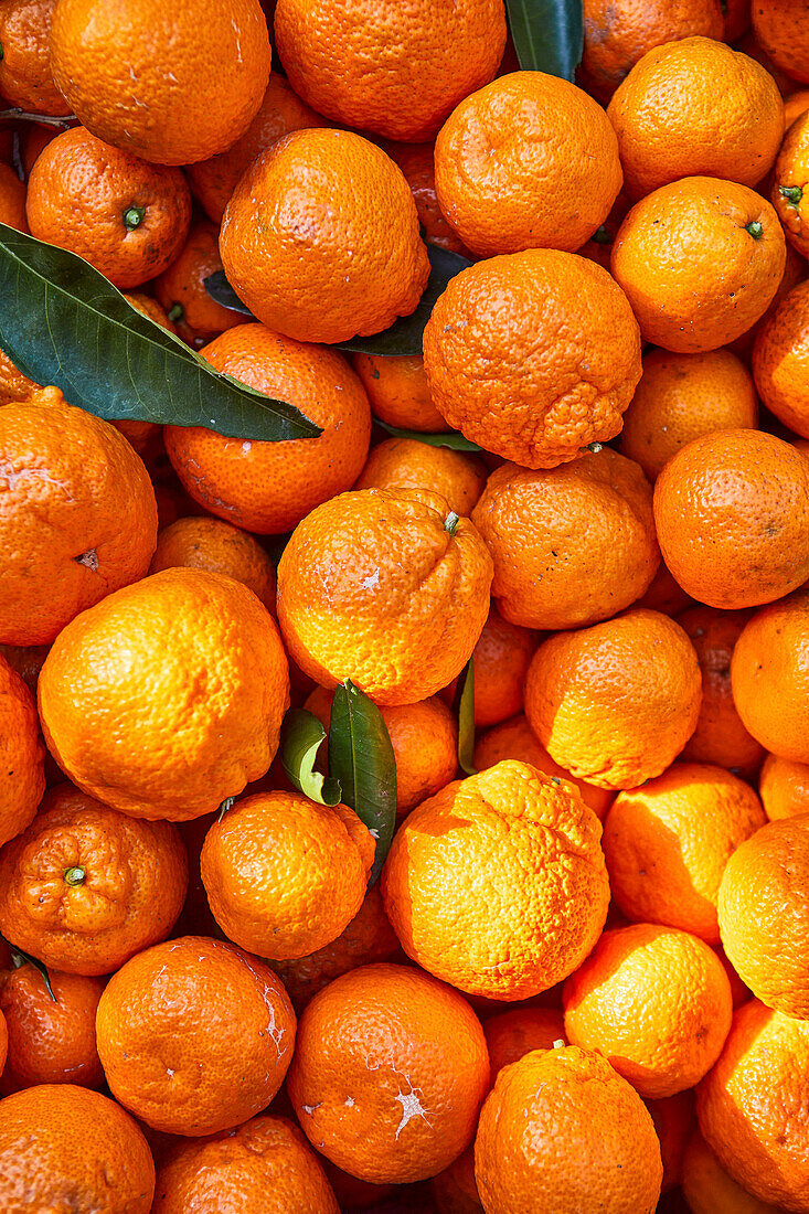 Close-up of mandarin oranges