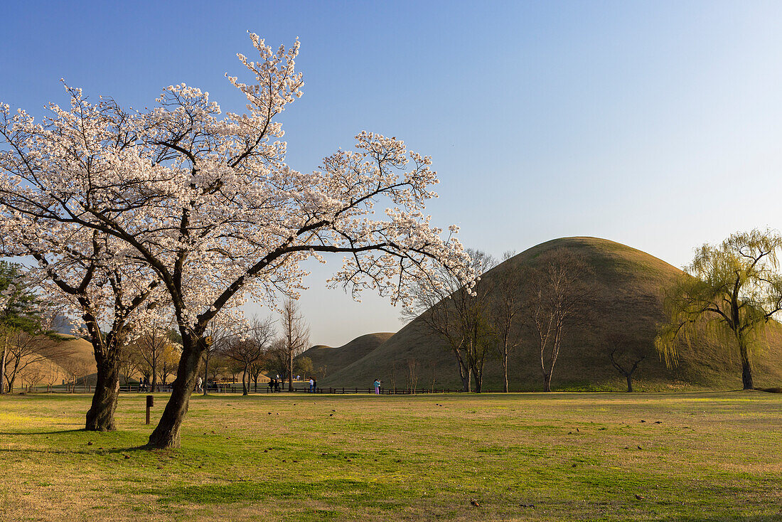 Daereungwon-Grabkomplex, UNESCO-Weltkulturerbe, Gyeongju, Südkorea, Asien