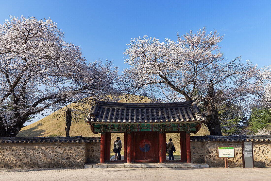 Royal Tomb of King Michu in Daereungwon Tomb Complex, UNESCO World Heritage Site, Gyeongju, South Korea, Asia