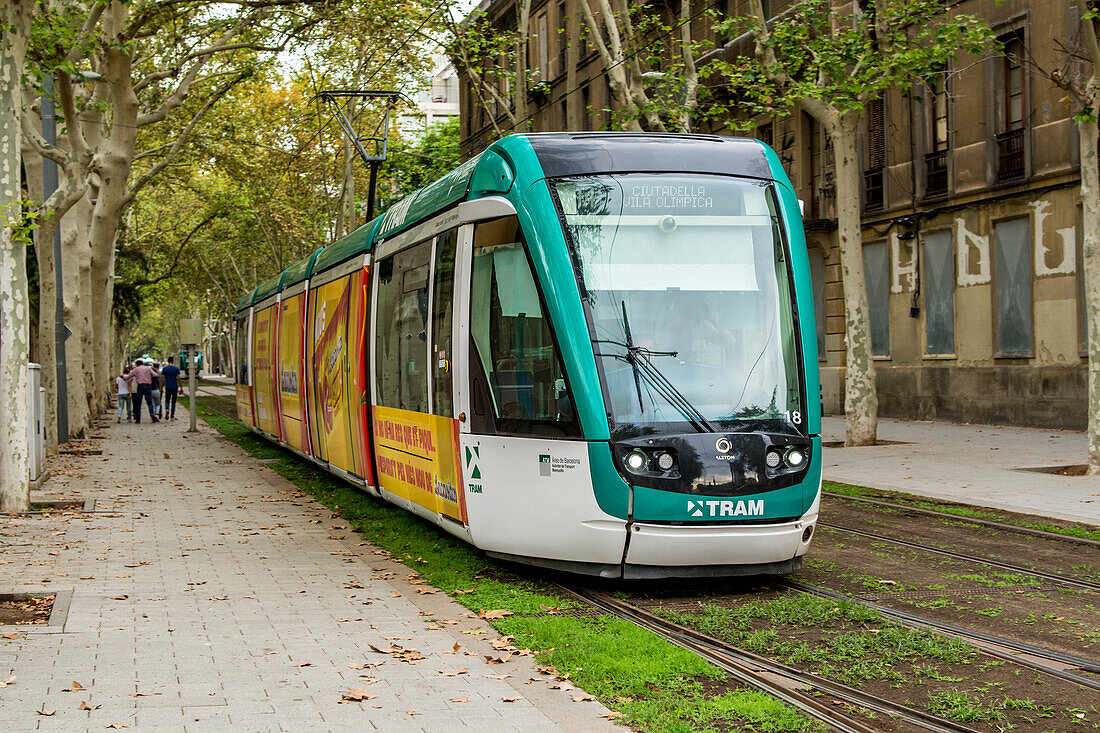 Öffentlicher Straßenbahnverkehr, Barcelona, Katalonien, Spanien, Europa