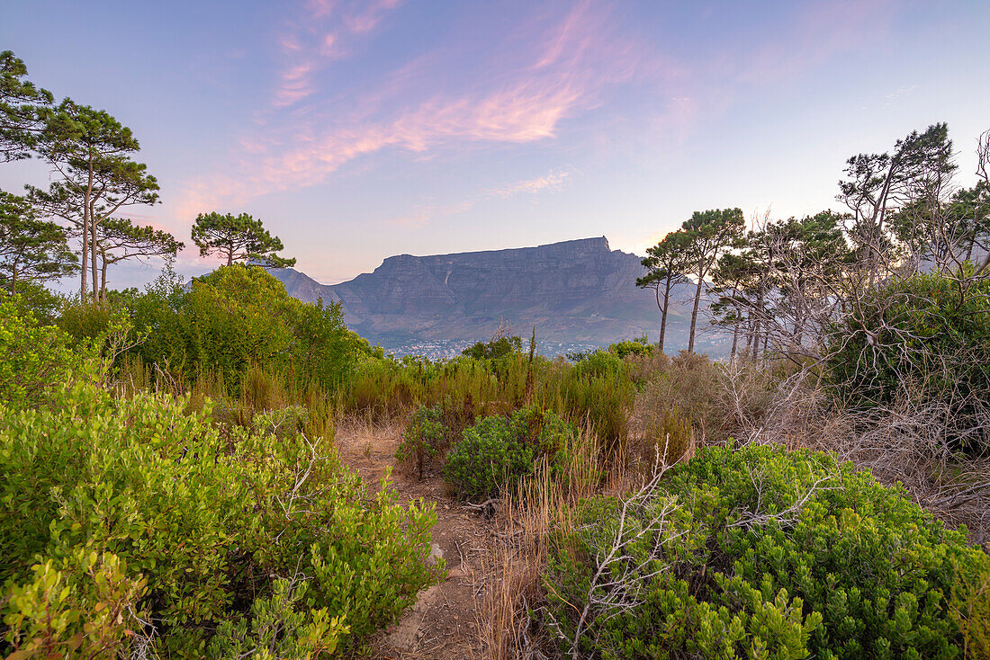 Blick auf den Tafelberg vom Signal Hill aus in der Abenddämmerung, Kapstadt, Westkap, Südafrika, Afrika