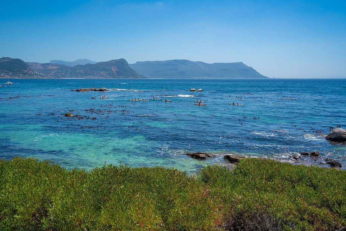 View of canoeing and Boulders Beach from elevated position, Seaforth, Table Mountain National Park, Cape Town, Western Cape, South Africa, Africa