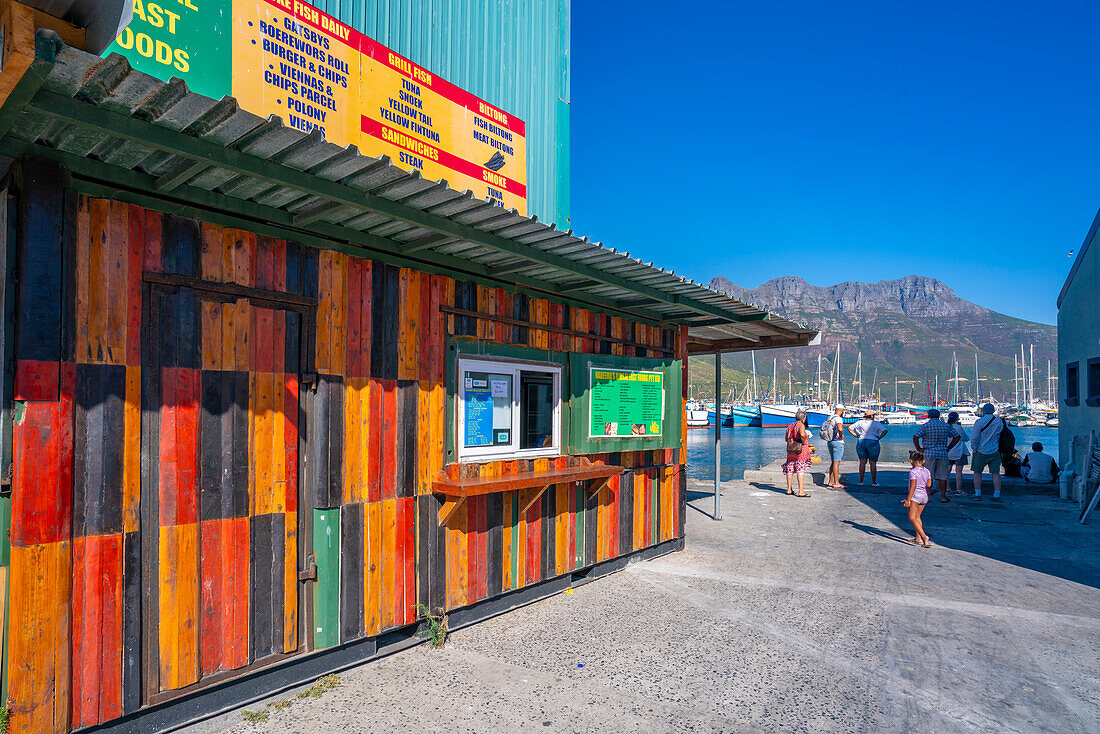 Blick auf bunte Gebäude im Hafen von Hout Bay, Hout Bay, Kapstadt, Westkap, Südafrika, Afrika