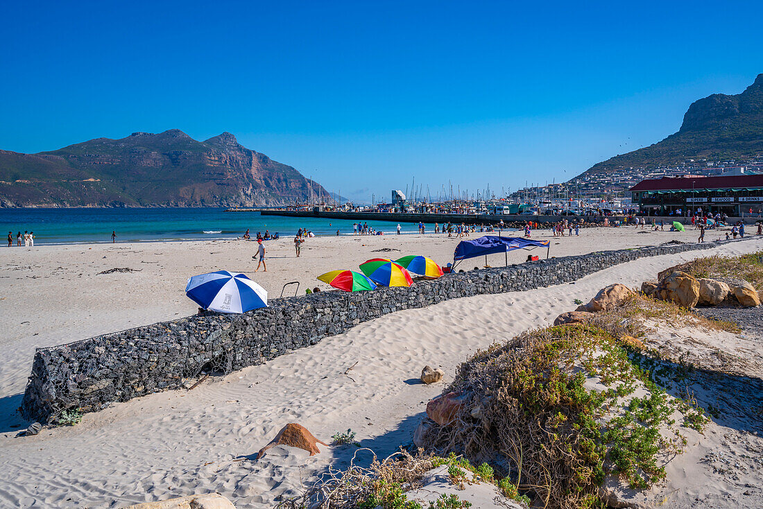 Blick auf badende Menschen am Hout Bay Beach, Hout Bay, Kapstadt, Westkap, Südafrika, Afrika