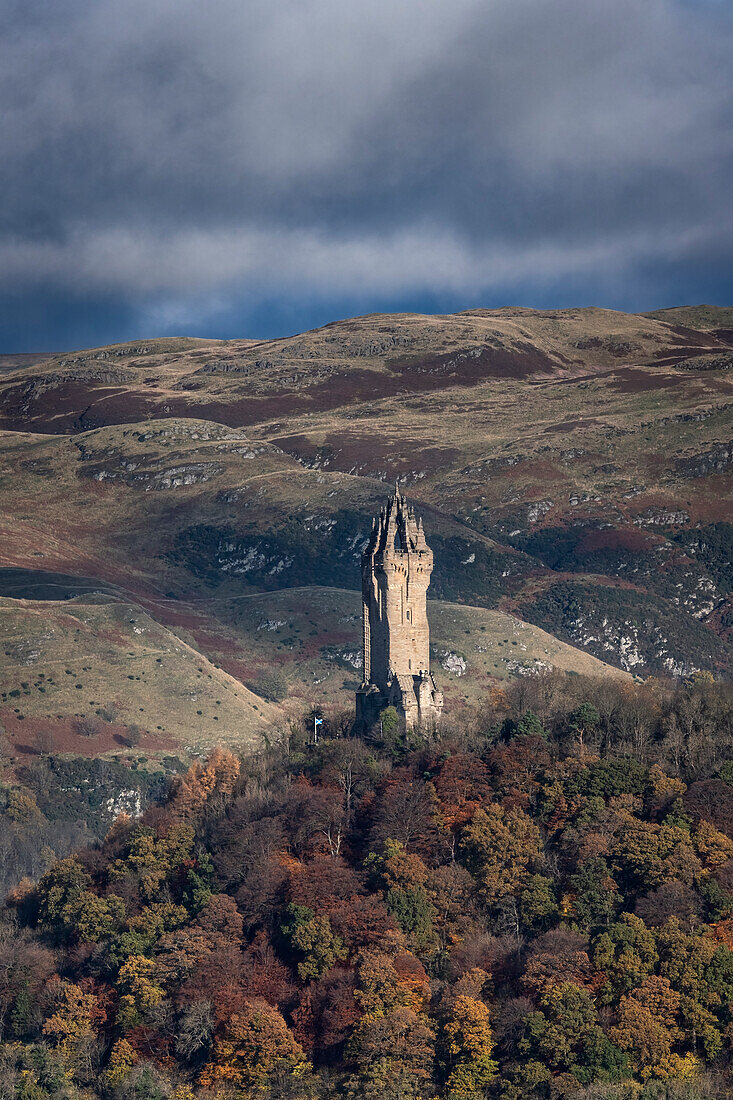 Das Nationale Wallace-Denkmal auf Abbey Craig vor der Kulisse der Ochil Hills im Herbst, Stirling, Stirlingshire, Schottland, Vereinigtes Königreich, Europa