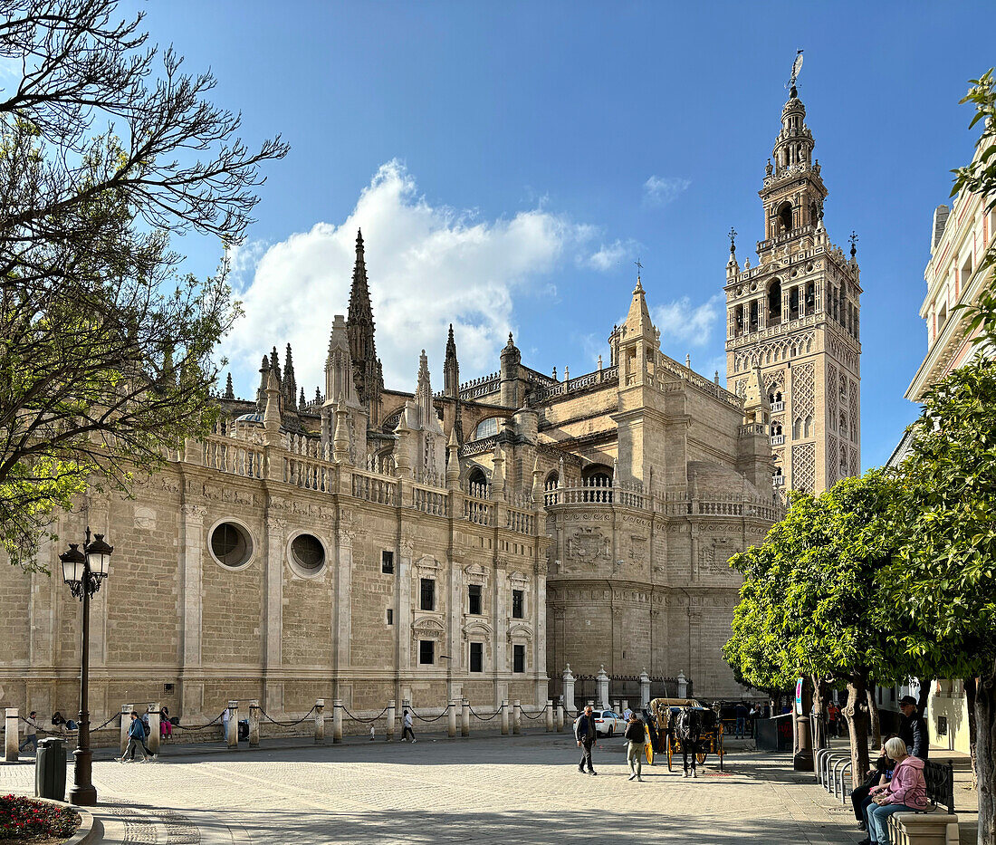 Blick auf die Giralda (Glockenturm) der römisch-katholischen Kathedrale der Heiligen Maria vom See (Kathedrale von Sevilla), UNESCO-Weltkulturerbe, Sevilla, Andalusien, Spanien, Europa