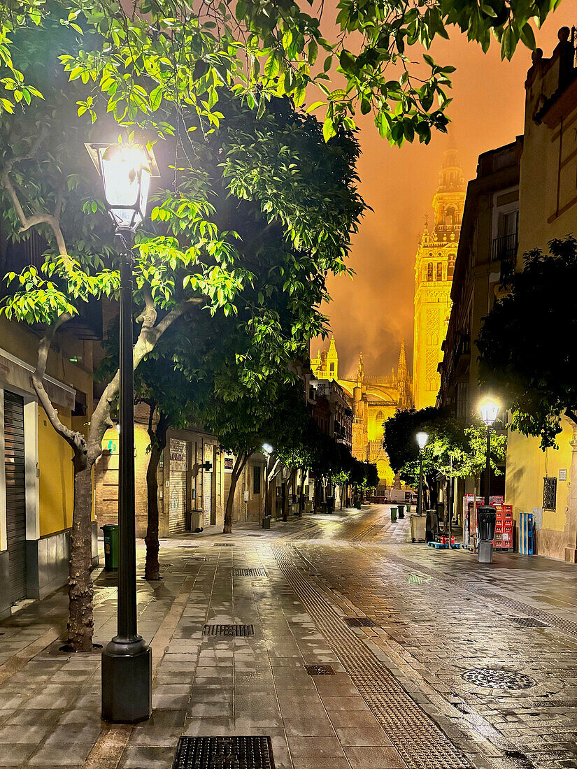 Blick auf die Giralda (Glockenturm) der römisch-katholischen Kathedrale Santa Maria vom See (Kathedrale von Sevilla) bei Nacht, UNESCO-Weltkulturerbe, Sevilla, Andalusien, Spanien, Europa