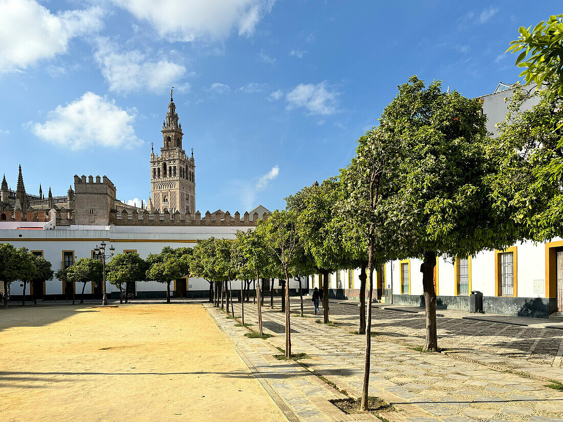 View of the Giralda (Bell Tower) of the Roman Catholic Seville Cathedral, UNESCO World Heritage Site, Seville, Andalusia, Spain, Europe