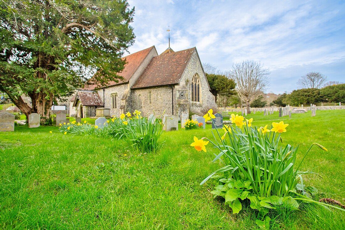 St. Simon and St. Jude's Church, East Dean, East Sussex, England, United Kingdom, Europe