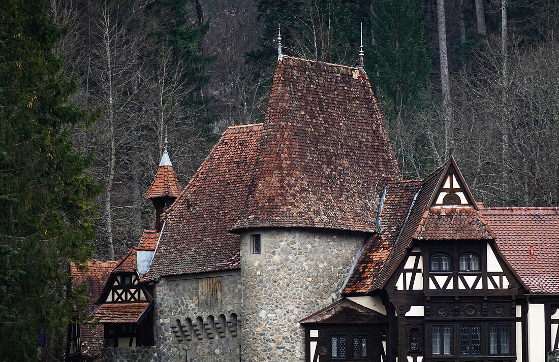 Ländliche Architektur im Volksmund, Bran, Siebenbürgen, Rumänien, Europa