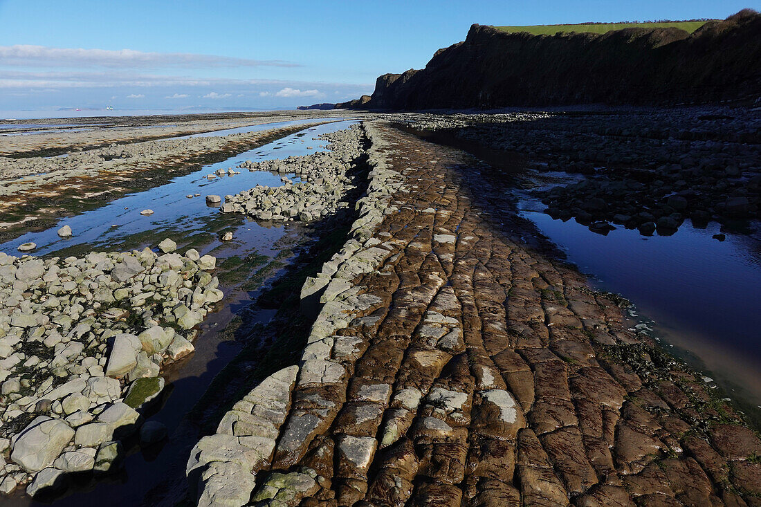 The intertidal zone of the Quantock Coast, containing an abundance of geology and wildlife, a Site of Special Scientific Interest (SSSI), West Somerset, England, United Kingdom, Europe