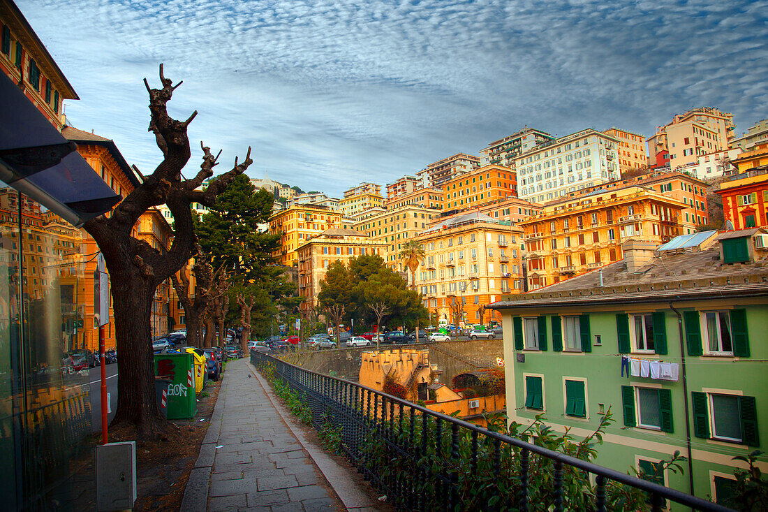 Ein Blick auf die Stadt, Genua, Ligurien, Italien, Europa