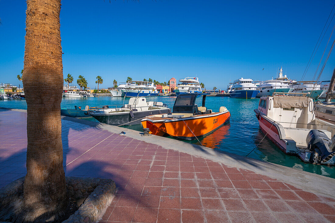 Blick auf Boote und das farbenfrohe Hafenbüro in der Hurghada Marina, Hurghada, Red Sea Governorate, Ägypten, Nordafrika, Afrika