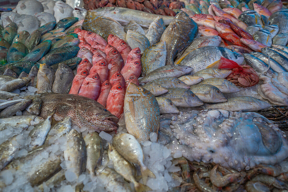 Blick auf einen Fischstand auf dem Fischmarkt von Hurghada, Hurghada, Rotes Meer Gouvernement, Ägypten, Nordafrika, Afrika