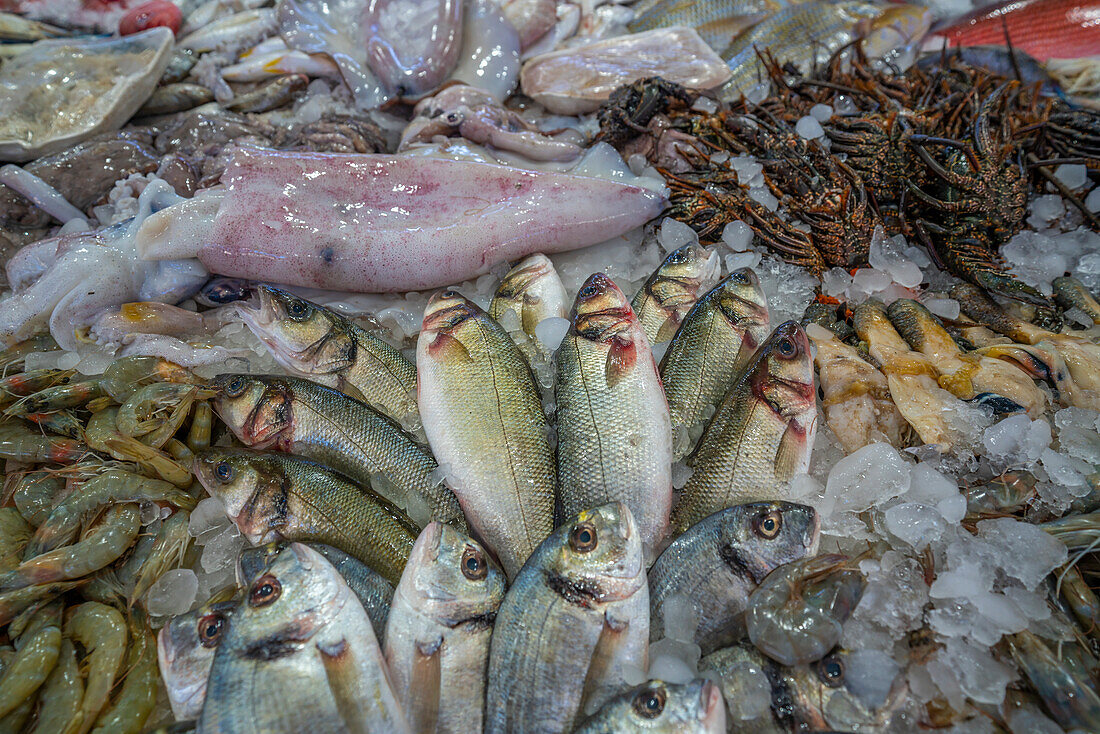 Blick auf einen Fischstand auf dem Fischmarkt von Hurghada, Hurghada, Verwaltungsbezirk Rotes Meer, Ägypten, Nordafrika, Afrika