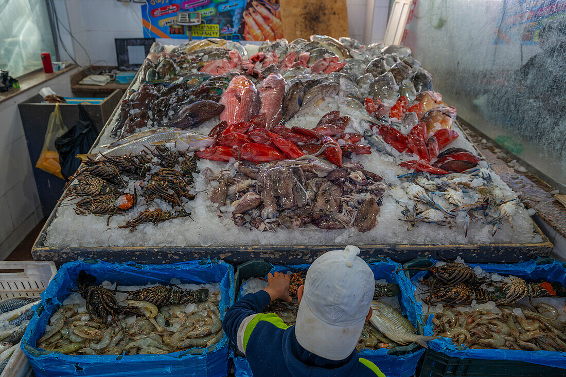 Blick auf einen Fischstand auf dem Fischmarkt von Hurghada, Hurghada, Gouvernement Rotes Meer, Ägypten, Nordafrika, Afrika