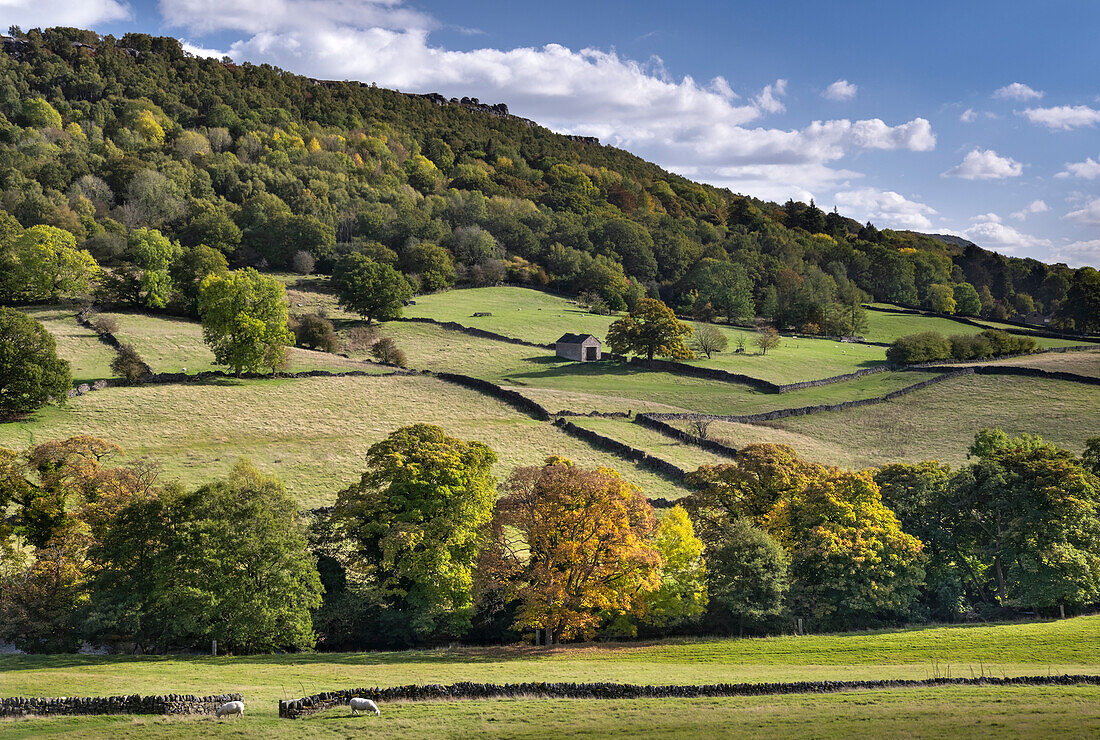 Froggatt Edge at the turn of autumn, near Calver, Peak District National Park, Derbyshire, England, United Kingdom, Europe