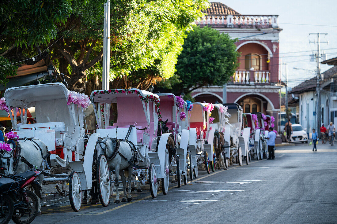 Horse drawn carriages on street, Granada, Nicaragua, Central America