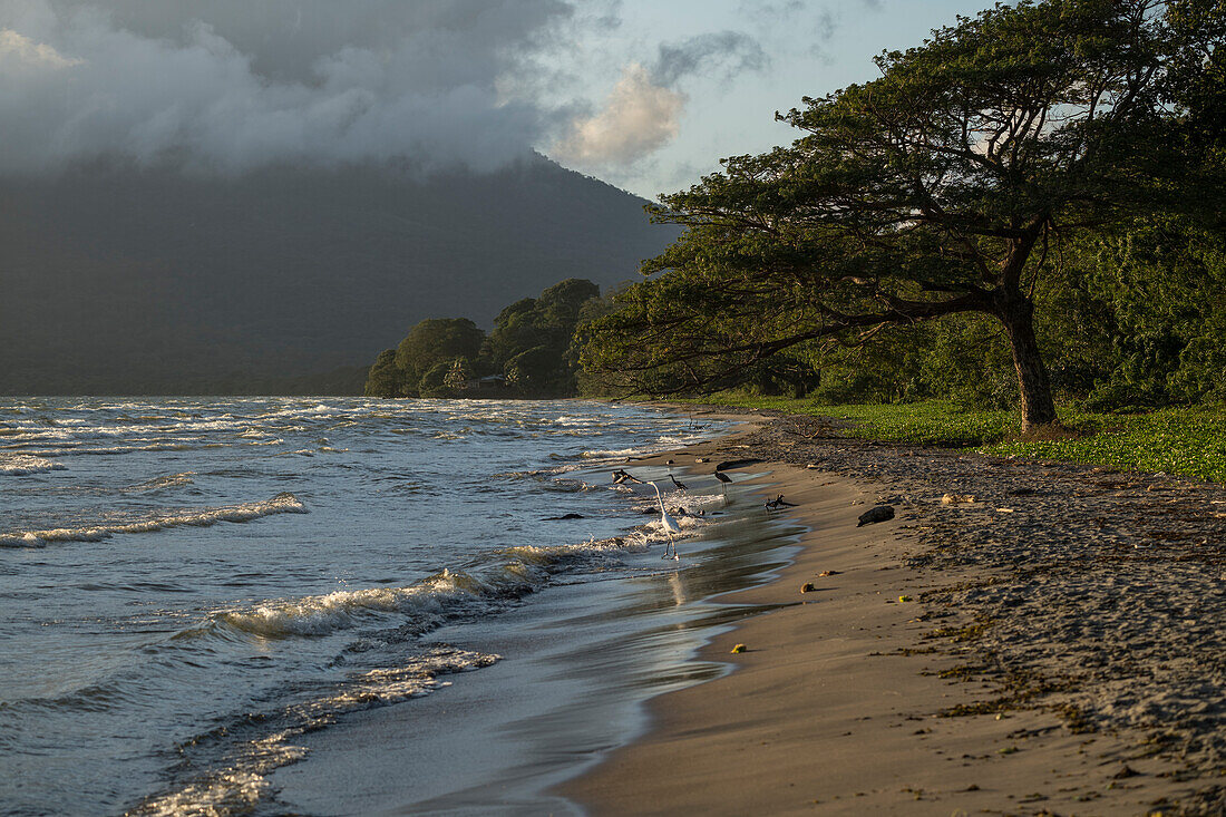 San Fernando Beach, Ometepe Island, Rivas State, Nicaragua, Central America